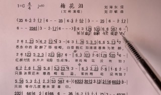 梅花泪歌词简谱（梅花泪歌词简谱教唱视频）