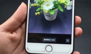 微信原图怎么发（拍照发微信原图怎么发）