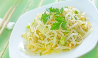 炒绿豆芽的家常做法（青菜炒绿豆芽的家常做法）