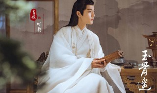 玉骨遥简介（玉骨遥简介单）