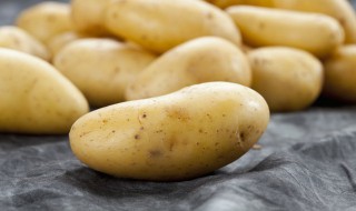 红烧土豆排骨家常做法 红烧土豆排骨家常做法大全
