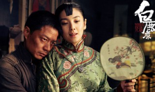 白鹿原剧情介绍详细（白鹿原剧情介绍详细大结局）