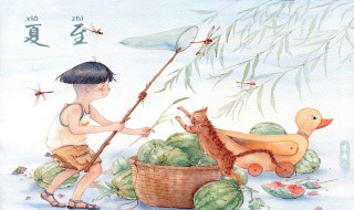 夏至节气民俗（夏至的民俗文化）