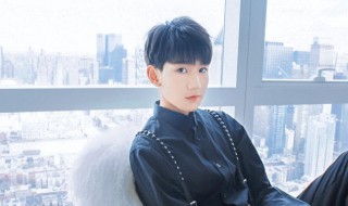 王源资料 王源资料个人资