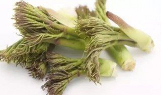 刺嫩芽的食用方法（刺嫩芽的食用方法怎么清洗）