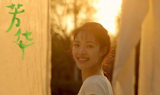 芳华电影内容简介（芳华电影内容简介）
