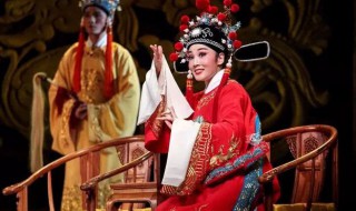 女驸马故事简介（女驸马故事简介300字）