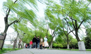 梦见大风是什么意思 男人梦见大风是什么意思