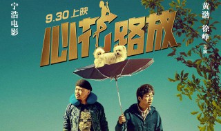 心花怒放电影简介（心花怒放电影完整版观看）