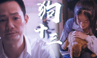 狗十三电影简介（狗十三电影简介论文）