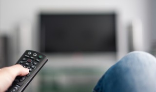 冈仁波齐电影简介（冈仁波齐电影简介的导演?）