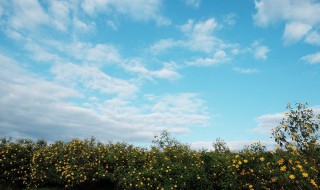 天空之城李志歌词 天空之城李志歌词大意
