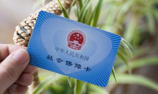 社保怎么网上缴费 单位社保怎么网上缴费