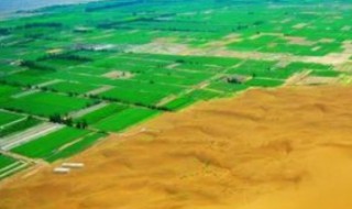 风蚀荒漠化的防治措施（风蚀荒漠化的防治措施有）