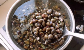 如何清洗田螺（如何清洗田螺外面的青苔）