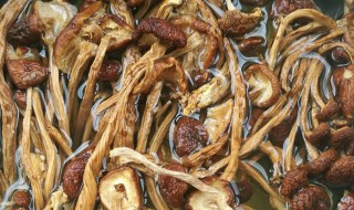 茶树菇如何清洗（茶树菇怎么清洗?）
