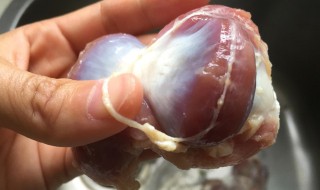 如何清洗鸡胗（如何清洗鸡胗皮）