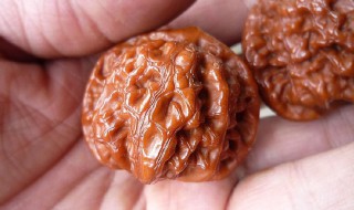 文玩核桃如何清洗（文玩核桃如何清洗才干净）