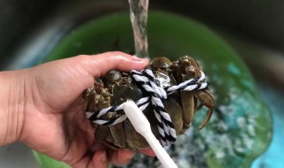 如何清洗大闸蟹 如何清洗大闸蟹才干净视频