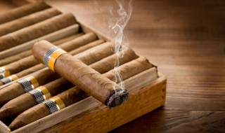 雪茄怎么抽才正确（雪茄怎么抽才正确视频）
