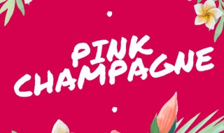 pinkchampagne歌词翻译（pink champagne歌词翻译）