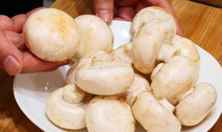 口蘑里面发黑还能吃吗（口蘑里面发黑还可以吃吗）