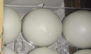 孔圣枕中丹的功效与作用 孔圣枕中丹的功效与作用为啥没有快速恢复好记忆力的