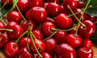 樱桃成熟的季节（樱桃成熟的季节说说）