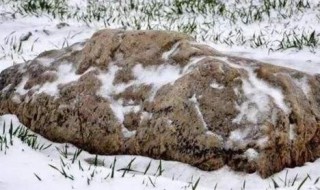 世界上最矮的山有多高（世界上最矮的山有多高蚂蚁庄园）