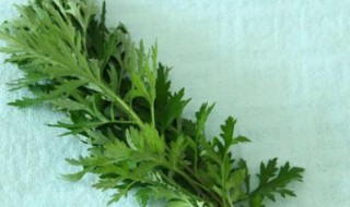 艾草可以挂门里吗 艾草必须挂门上吗