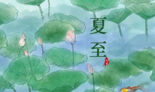 夏至后面的节气是什么 夏至后面的节气是什么