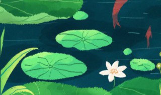 夏至后节气 夏至节气诗歌