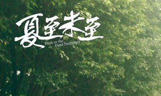 夏至未至电视剧经典台词 夏至未至 经典台词