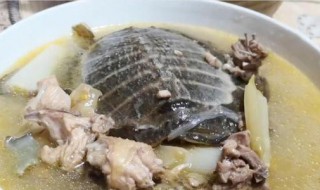 甲鱼汤的做法大全煲汤 甲鱼汤的做法大全煲汤图片