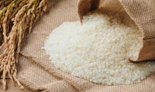 关于大米的走心文案 关于大米的走心文案句子