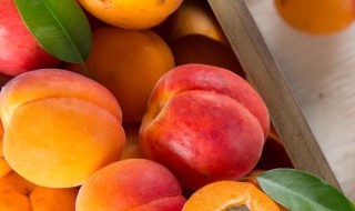 关于水果的文案 关于水果的文案朋友圈