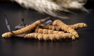 虫草煲汤做法大全 虫草煲汤做法大全视频