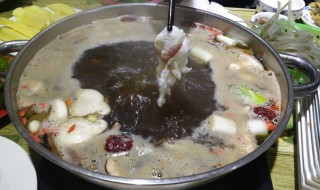 乌鱼汤的功效与做法 乌鱼汤的功效与做法窍门