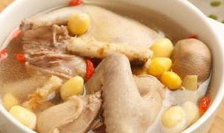 术后鸽子汤的做法（术后鸽子汤的做法与功效）