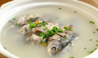 鲤鱼汤的做法（破壁机鲤鱼汤的做法）