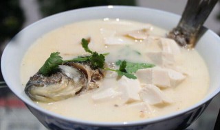 鲫鱼豆腐汤的做法窍门（鲫鱼豆腐汤的做法窍门视频）