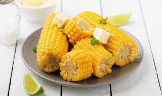冬瓜玉米汤的做法 乌鸡冬瓜玉米汤的做法
