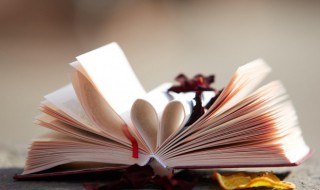 理想三旬表达什么意思（陈鸿宇理想三旬表达什么意思）