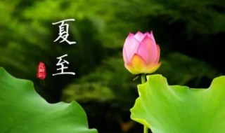 夏至是夏天结束了吗（夏至是不是夏天结束的意思）