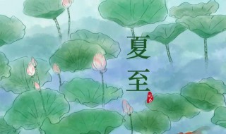 夏至节日吃什么 夏至日吃啥