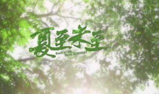 夏至未至片头曲是什么（夏至未至片头曲叫什么）