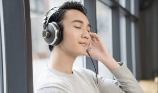 野子歌词的意思是什么（野子歌词的意思是什么呢）