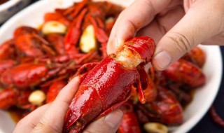 小龙虾怎么看新不新鲜 小龙虾怎么看新不新鲜图片