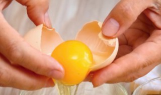 宝宝吃鹌鹑蛋好还是鸡蛋好（一岁宝宝吃鹌鹑蛋好还是鸡蛋好）