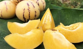 生人参果怎么催熟（生人参果怎么催熟的）